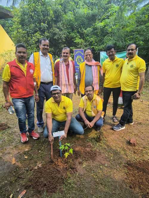Plantation Program by LCB Geetez